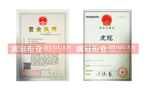 武邑虎冠柜業(yè)有限公司